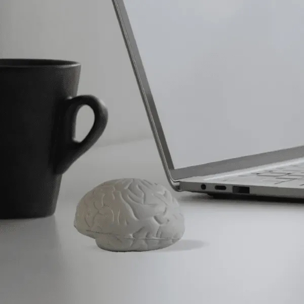 Gray color option for Foam Stress Reliever Brain