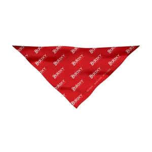 Photo of Medium Dog Bandana