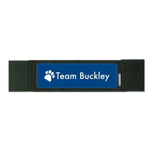 Main photo of 3" Reflective Armband