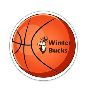 Photo of Basketball Shaped Note Keeper™ Magnet 35 Mil