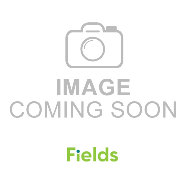 White Case Only color option for Credit Card Magnifier With Case