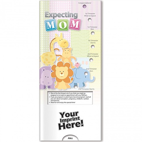 Photo of Pocket Slider   Expecting Mom