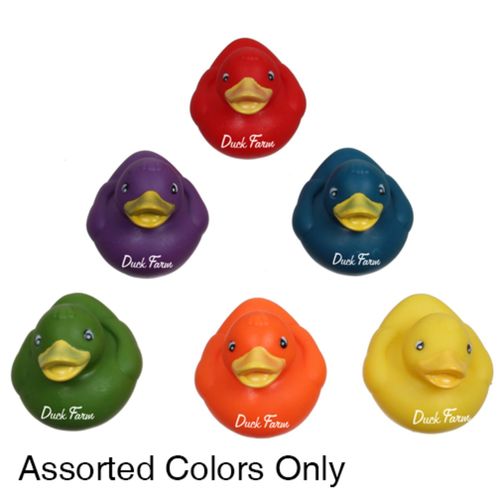 Photo of Rubber Duck