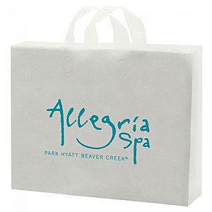 Photo of Frosted Soft Loop Handle Bags   16" X 12"