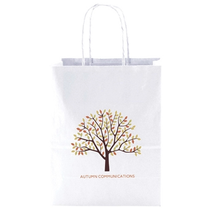 Photo of White Kraft Shopping Bags   8" X 10.5"