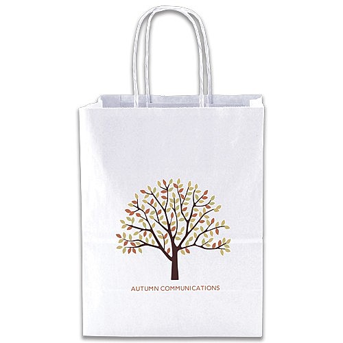 Photo of White Kraft Shopping Bags   8" X 10.5"