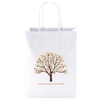 White Kraft Shopping Bags   8" X 10.5"