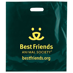 Photo of Color Patch Handle Bags 1.75 Mil. 16 X 18 + 4