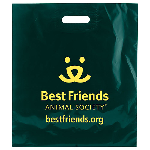 Photo of Color Patch Handle Bags 1.75 Mil. 16 X 18 + 4