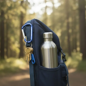 Photo of 3 1/8 Inch Carabiner W/Key Chain