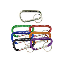 3 1/8 Inch Carabiner W/Key Chain