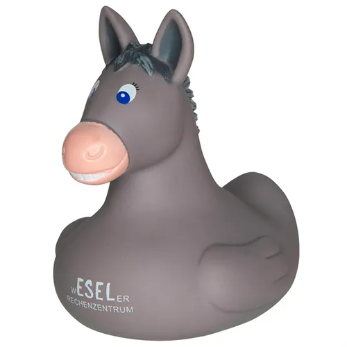 Photo of Donkey Rubber Duck