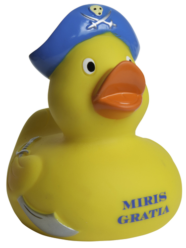 Photo of Pirate Rubber Duck