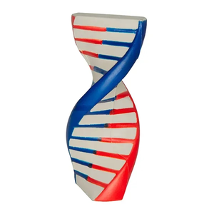 Photo of Dna Stress Reliever