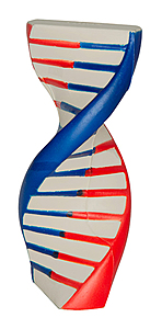 Photo of Dna Stress Reliever