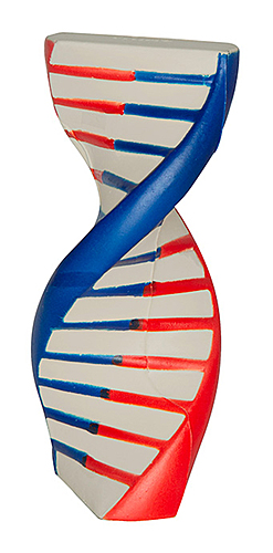 Photo of Dna Stress Reliever