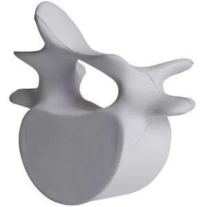 Photo of Vertebrae Stress Reliever