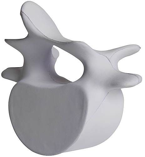 Photo of Vertebrae Stress Reliever