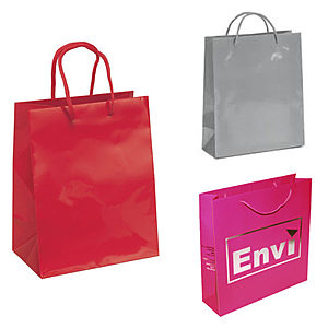Photo of Reusable Gloss Laminated Paper Gift Bag