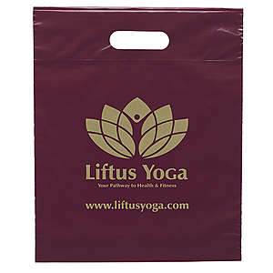Photo of Die Cut Handle Bag 12x15x3