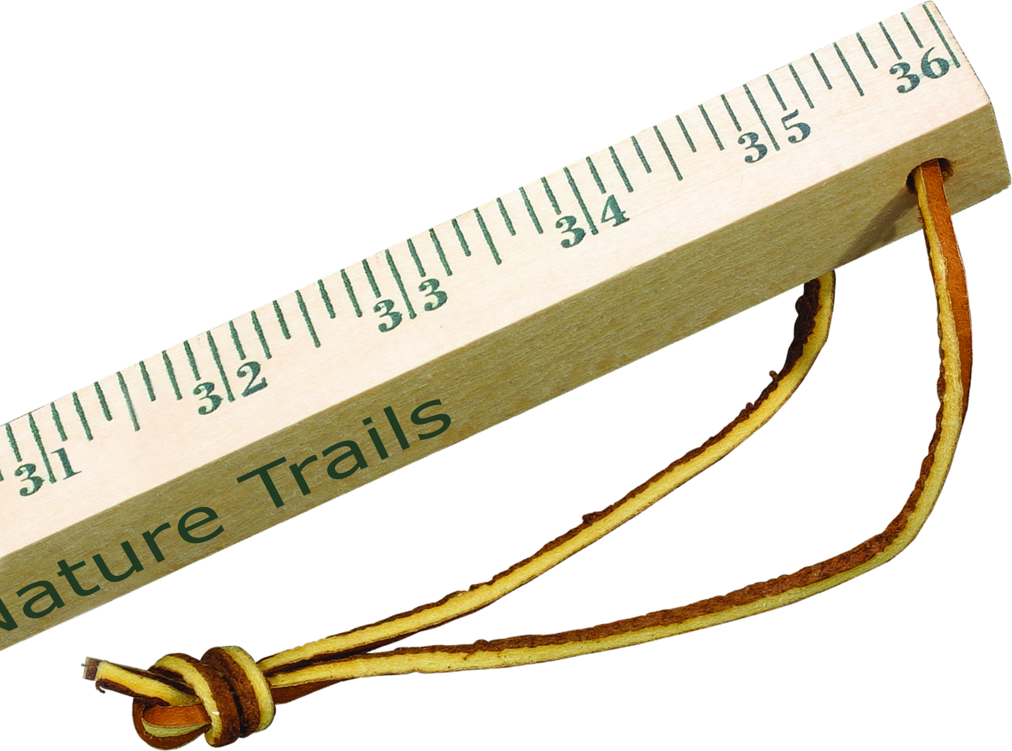 Natural Finish Wood color option for Walking Sticks   Natural Finish