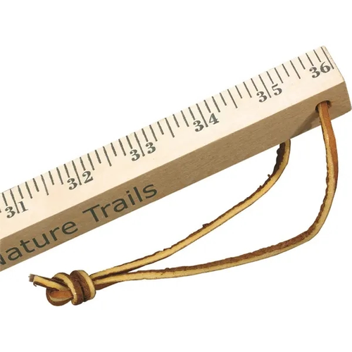 Main photo of Walking Sticks   Natural Finish