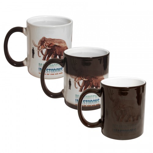 Photo of 11 Oz Color Changing Mug (Black)