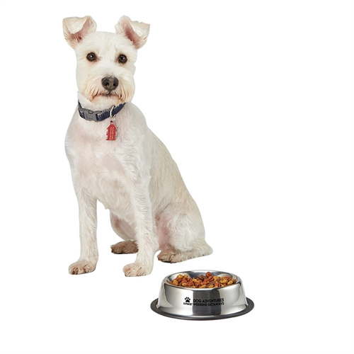 Main photo of Medium Stainless Steel Pet Bowl